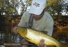  Captura en Pesca con Mosca de Dorado por Marcelo Trelles – Fly dreamers