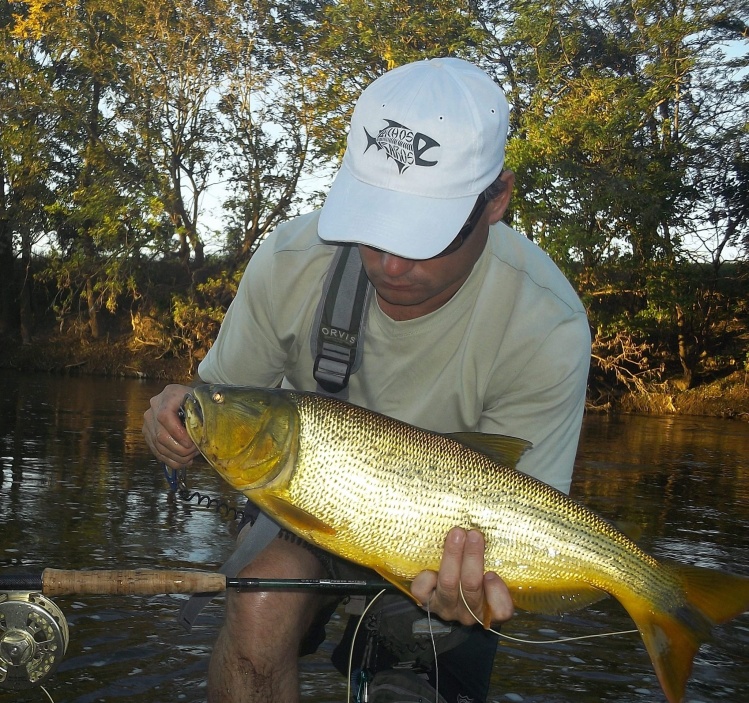 rio arrecifes