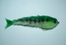 Fly-tying for Largemouth Bass -  Image shared by Mario Meraz – Fly dreamers