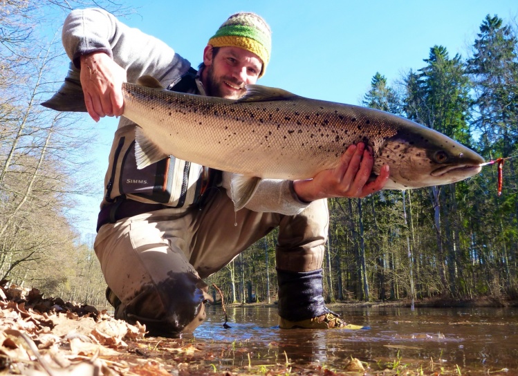 Moerrum - Sweden salmon