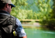 Las posturas de los peces en el río