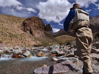 Fly fishing picture