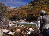 Fly fishing picture