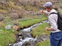 Fly fishing picture