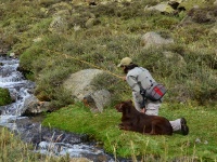 Fly fishing picture