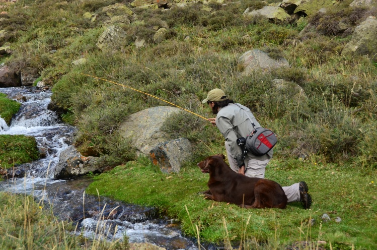 Pescando en poca Agua