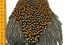 Sonnerat's Grey Jungle Fowl (Jungle Cock)