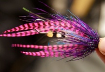 Fly for Steelhead - Picture shared by Ben Paull – Fly dreamers