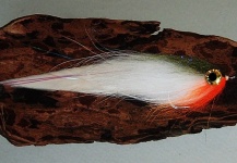 Fly-tying for BluefinTuna - Photo shared by Jack Denny – Fly dreamers 