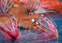 Fly-tying for Steelhead - Pic shared by Ben Paull – Fly dreamers 