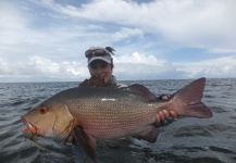 Tom Hradecky 's Fly-fishing Picture of a Bohar - Two Spot Red Snapper – Fly dreamers 