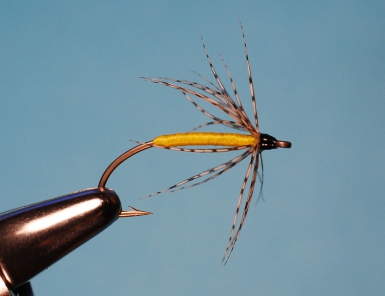 Gray Hackle Yellow