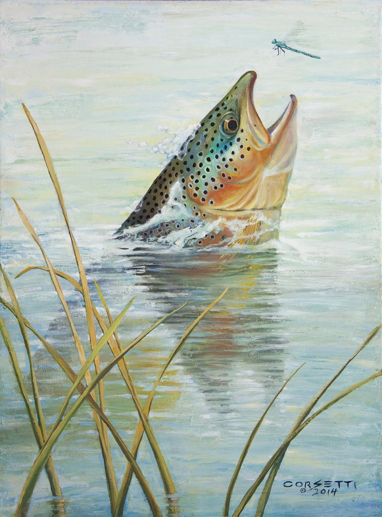 Brown trout Fly-fishing Art – ROBERT CORSETTI - Artist shared this