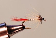 Cool Fly-tying Image shared by Jimbo Busse – Fly dreamers