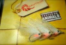 Dave T 's Great Fly-tying Pic – Fly dreamers 