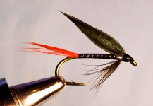 Fly-tying Image shared by Jimbo Busse – Fly dreamers