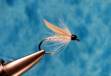 Fly-tying Pic shared by Jimbo Busse – Fly dreamers 