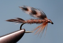 Good Fly-tying Image shared by Jimbo Busse – Fly dreamers