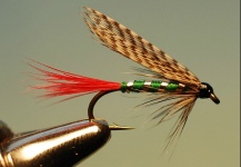 Great Fly-tying Image by Jimbo Busse 