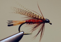 Interesting Fly Image shared by Jimbo Busse – Fly dreamers