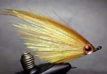 Interesting Fly-tying Picture shared by Dave T – Fly dreamers