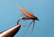 Jimbo Busse 's Cool Fly Photo – Fly dreamers 