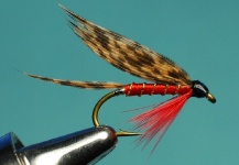 Jimbo Busse 's Fly– Fly dreamers 