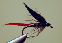 Jimbo Busse 's Fly Pic – Fly dreamers 