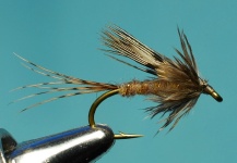 Jimbo Busse 's Fly-tying Pic – Fly dreamers 