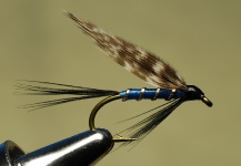 Jimbo Busse 's Great Fly-tying Pic – Fly dreamers 