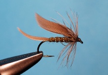 Nice Fly-tying Image by Jimbo Busse 