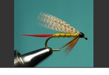 Nice Fly-tying Pic by Jimbo Busse 