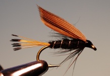 Nice Fly-tying Picture by Jimbo Busse 