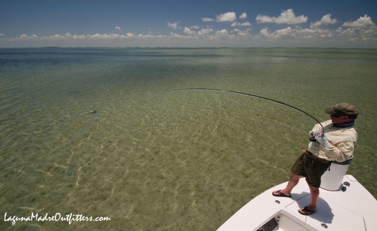 hooked into a redfish over Lower Laguna Madre sand flats near Arroyo City, Texas

www.lagunamadreoutfitters.com 