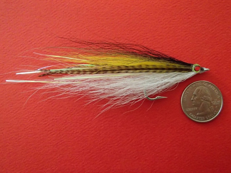 Bob Popovics Bucktail Deceiver tyed small on a light 2/0 hook. I like the grizzly hackle along the side, there is olive and black to top off the fly.
