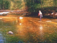 Fly fishing picture