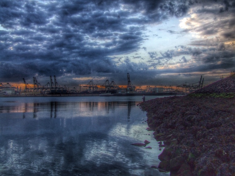 Maasvlakte