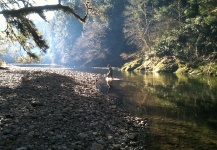  Gran Situación de Pesca con Mosca de Steelhead– Foto por Nate Fritts en Fly dreamers