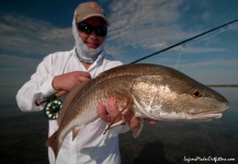 Ben Paschal 's Fly-fishing Picture of a Redfish – Fly dreamers 