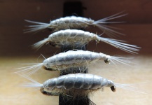  Mira esta fotografía de atado de moscas para Chanchita de Mario Capovía Del Cet – Fly dreamers