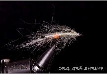 Zeljko Babic 's Fly-tying Photo – Fly dreamers 