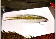 Fly-tying for Pike - Pic shared by Fabio Gasperoni – Fly dreamers 