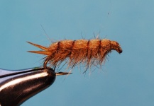 Fly-tying Image by Jimbo Busse 