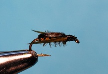 Impressive Fly-tying Photo by Jimbo Busse 