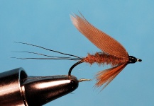 Interesting Fly-tying Photo shared by Jimbo Busse – Fly dreamers 