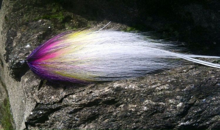 Fly tying photo: A hollow tied BEAST Fleye.....