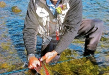  Situación de Pesca con Mosca de Trucha arcoiris– Foto por Ted Bryant en Fly dreamers