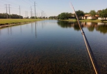 largemouth Fly-fishing Situation – Chris Courier shared this Pic in Fly dreamers 