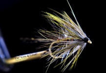 Pierre Lainé 's Fly-tying for Grayling - Photo – Fly dreamers 