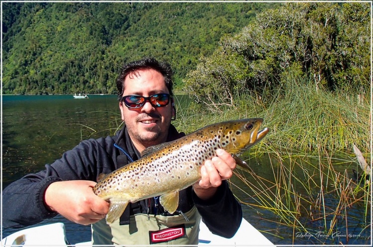 Amigos... los invito a ver esta hermosa nota de pesca en el lago Yelcho: <a href="http://wp.me/p4sLrv-9E">http://wp.me/p4sLrv-9E</a>